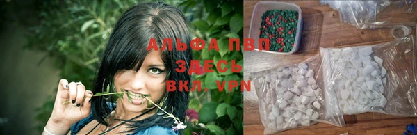 шишки Каменка