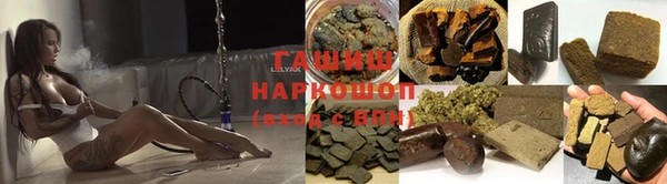 шишки Каменка