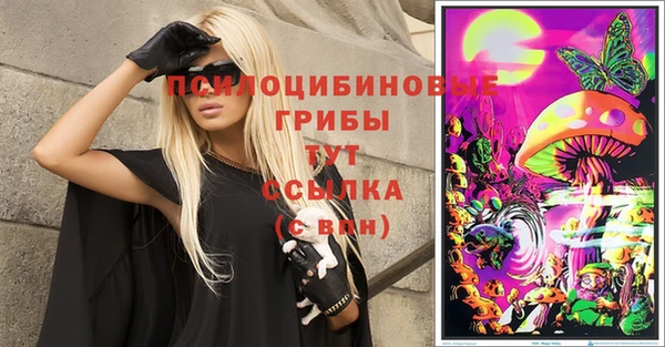 шишки Каменка