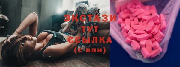шишки Каменка