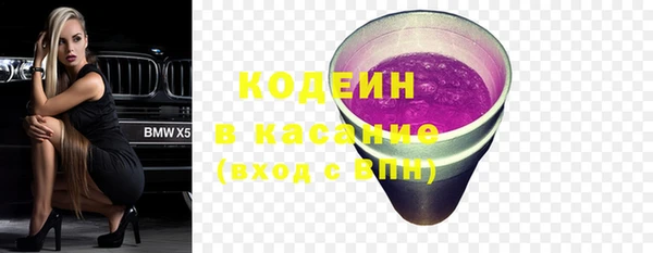 шишки Каменка