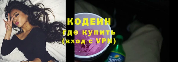 шишки Каменка
