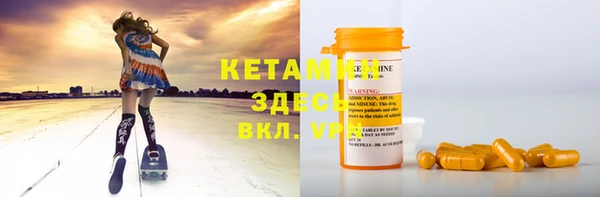 шишки Каменка