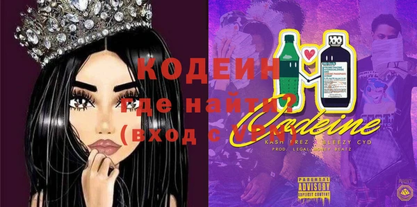 шишки Каменка
