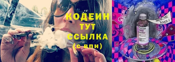 шишки Каменка
